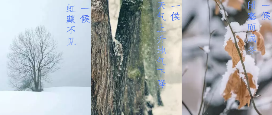 今日小雪，寒潮來(lái)襲，洗瓶機(jī)來(lái)幫你解放雙手吧！